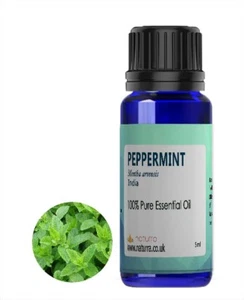 Peppermint (Cymbopogon flexuosus ) 100% Pure Essential 50ml 100ml - Picture 1 of 3