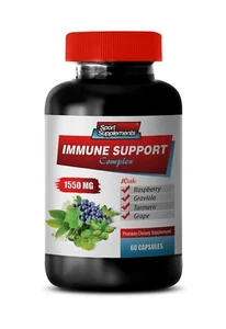 antioxidant organic - IMMUNE SUPPORT COMPLEX - graviola vitamin 1B - Picture 1 of 8