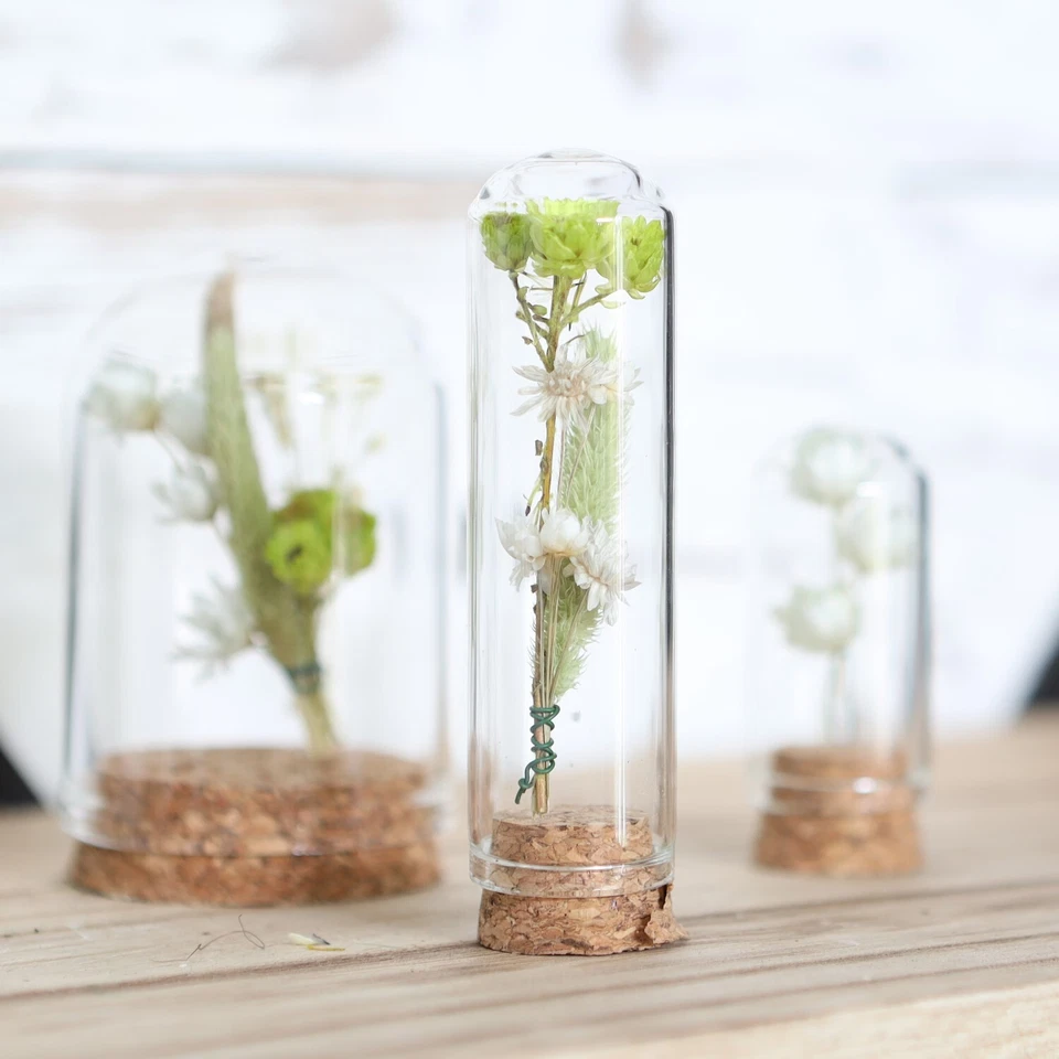 NaDeco Glasdom "Mini" mit Korksockel, in vielen Größen auswählbar | Glas-Dome - Bild 1 von 1