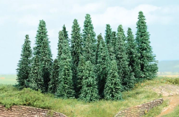 HEKI - 10 abeti argentati 9-14 cm -  - HEK2235 - Immagine 1 di 1