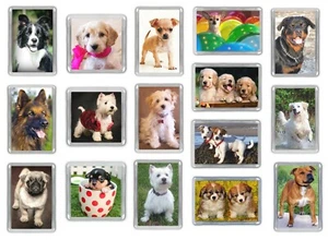 Dog Fridge Magnets Pug Staffy Beagle Chihuahua Shih Tzu Jack Russell Choose - Picture 1 of 131