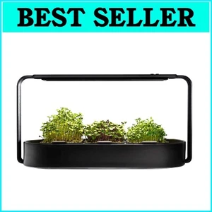 Organic Microgreens Kit - Self-Watering Hydroponic System & 15W LED Light - Picture 1 of 11
