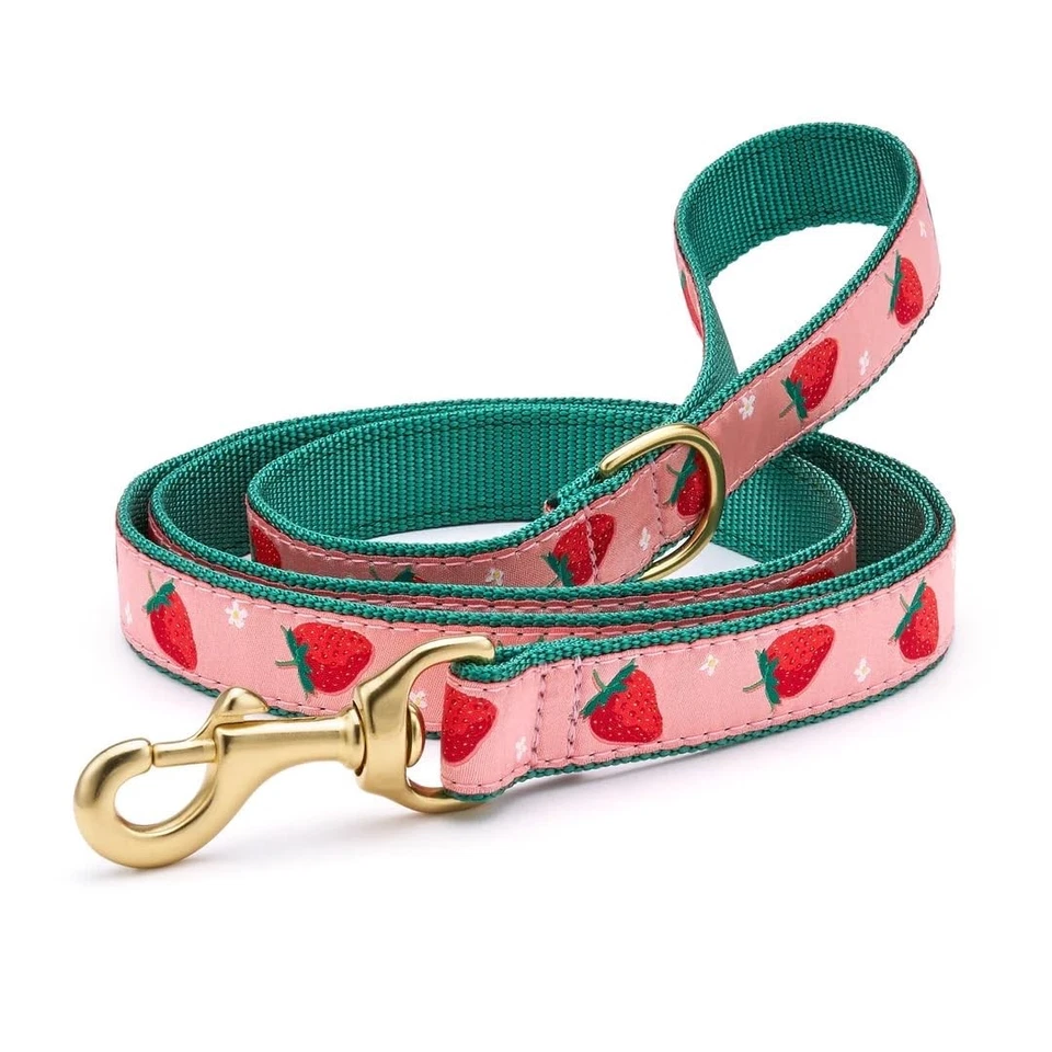 Correa para perro Up Country Strawberry Fields - 5 pies, 1" de ancho con anillo en D Foto 1 de 1