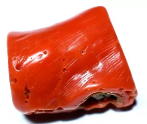 Piedra preciosa áspera de coral rojo natural sin tratar 27,95 quilates con certificación AGL - Imagen 1 de 6