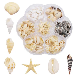 120PCS/Box Mixed Conch Shell Starfish Sea Shells Decor Ornament for Fish Tank - Picture 1 of 4