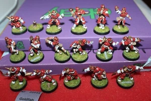 Pro Painted 5th Edition Bloodbowl Human Team 16 Metal Figures Blood Bowl GW OOP - Picture 1 of 11