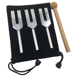 -Stimmgabel-Set - 4096 Hz, 4160 Hz, 4225 Hz - Therapeutisches Instrume4655 - Bild 1 von 6
