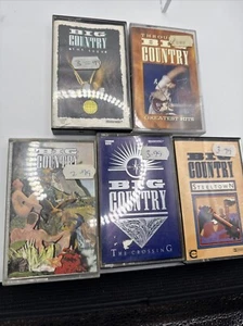 Großes Country Konvolut Kassette The Seer Steeltown Greatest Hits Peace In Our Time - Bild 1 von 7