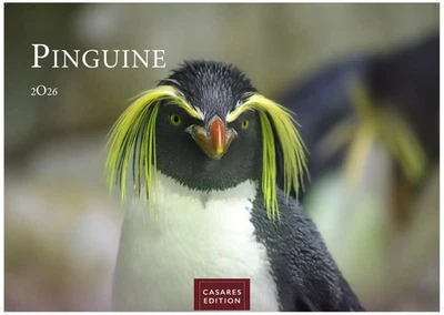 CASARES FINE ART EDITION Pinguine Kalender 2026 - Wandkalender Fotokalender Tierkalender 35x50cm...