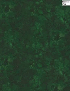 Solid-ish Tone on Tone cotton quilt fabric BTY Timeless Treasure SEAWEED green - Picture 1 of 12
