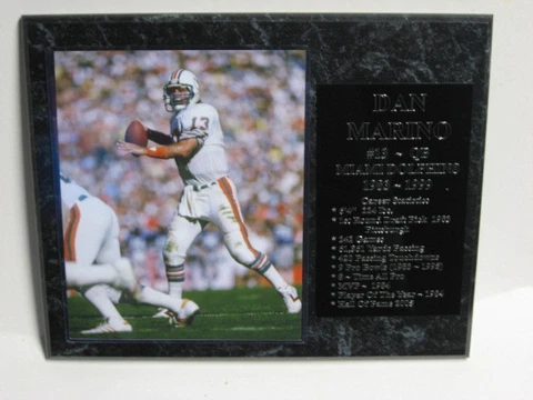Dan Marino - Miami Dolphins statistics plaque pose 2 - New Lower Pricing!! Cover