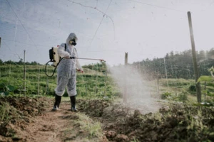 ERBICIDA SISTEMICO CLIPHOSATE CONF.0.500 LT SBM/BAYER N.24 CONFEZIONI - Imagen 1 de 1