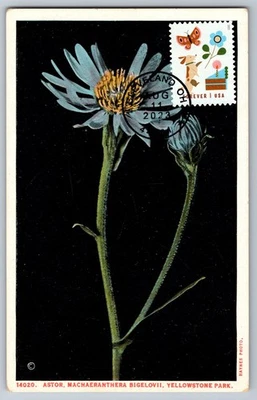 #5803 Thinking of You Blue Flower FDC Maxi Card on Vintage PC - Image 1 of 2