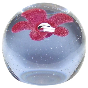 Caithness Caithness Briefbeschwerer Pop Blumen rot - verpackt 5595913 - Bild 1 von 1