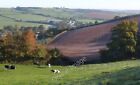 Photo 6x4 Fields above Aller Barton Hollacombe/SS8000 A green pasture wi c2010