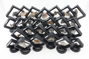 25 fossile Dinosaurier, antike Reptilien T Rex Stegosaurus Allosaurus etc COA 7225 - Bild 1 von 18