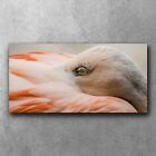 Bilder Leinwand Canvas Leinwand Bild Wohnzimmer 120x60 Flamingo Natur Feder