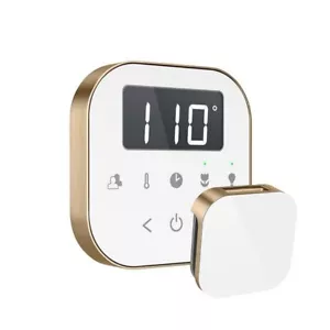 Mr Steam AirTempo Control White/BRUSHED BRONZE - Picture 1 of 2