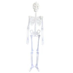 Luminous Skeleton Body Horror Halloween House Tricky Props Scary Outdoor Decor - Picture 1 of 17