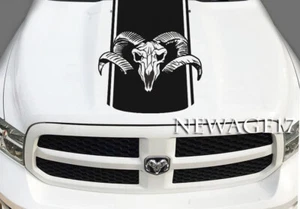 Ram Skull Hood Decal, Vinyl Hood Stripe, Hood Graphics, Compatible With Dodge - Foto 1 di 2