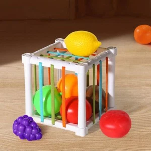 With Colorful Fruits Baby Montessori Sensory Toys Fruits Activity Learning - Picture 1 of 12
