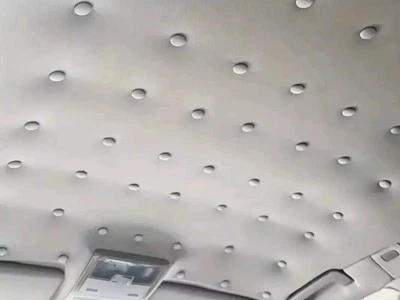 60 Stk Autohimmel-Reparaturset Auto Dach Himmel Schnalle Schnappnieten Reparatur - Bild 1 von 4