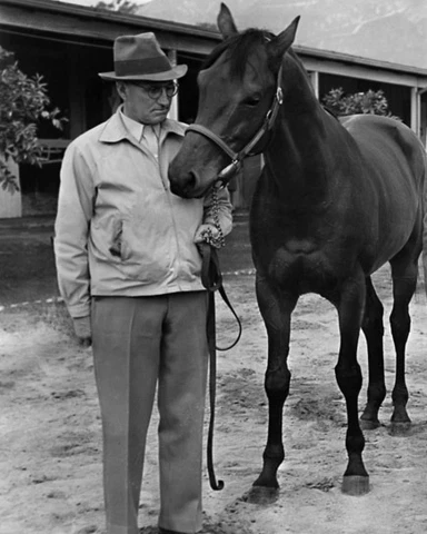 Champion Racehorse SEABISCUIT Glossy 8x10 Photo Print Horse Poster Cover