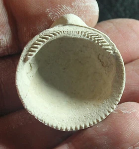 Glycymeris pilosa deshayesi - bivalvia fossile del Miocene badeniano, fm. Glycymeridae - Foto 1 di 2