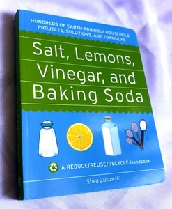 Salt, Lemons, Vinegar, and Baking Soda Hundreds of... by Shea Zukowski - Picture 1 of 12