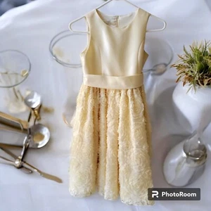 American Princess Fancy  Flower Girl Dress  with Zipper and Tie in Back - SZ 12 - Picture 1 of 6