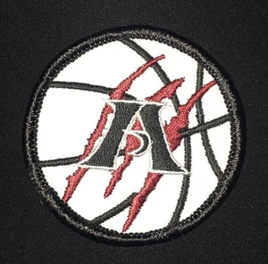 Ein Patch - Volleyball - 2 1/2" x 2 1/2" - Bild 1 von 2