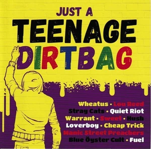 Various - Just A Teenage Dirtbag (CD 2017) - Picture 1 of 1
