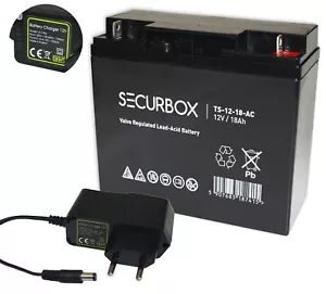 AGM Akku 12V 18 Ah AGM Batterie ersetzt 17 Ah + Ladegerät STECKER - Bild 1 von 1