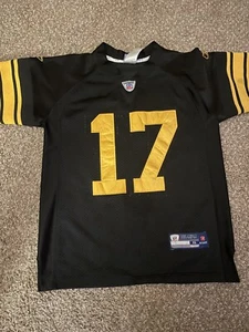 Steelers jersey- Mike Wallace - Picture 1 of 3