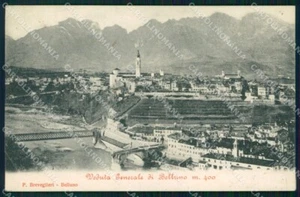 Belluno città Panorama cartolina VK3839 - Imagen 1 de 2