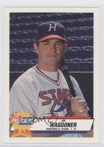 1993 Fleer ProCards Minor League Jim Waggoner #2091