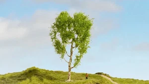 NOCH 20125 - Downy Birch Tree - 21cm high - Picture 1 of 3