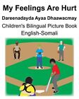 English-Somali My Feelings Are Hurt/Dareenadayda Ayaa Dhaawacmay Children's B...