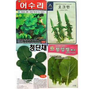 Korea vegetable herb seeds Tree Garden Seed Farm 어수리 오크린 청단채 항암쌈배추 cc - Picture 1 of 5