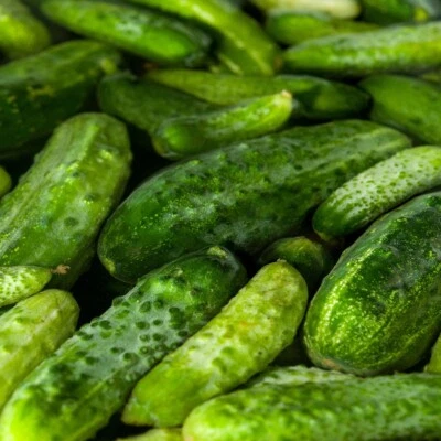 1/4 Lb Boston Pickling Cucumber Seeds - Everwilde Farms Mylar Seed Packet - Image 1 of 2