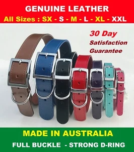 Genuine Leather Dog Collar Collars Lead Harness Sewn Full Buckle AUSTRALIAN MADE - Picture 1 of 17
