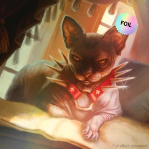 Secret Lair Drop: Cats Are Better Than Dogs - Rainbow Foil Edition - MTG - Bild 1 von 8