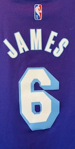 Lebron James #6 LAKERS Purple Commemorative Nike Jersey Size 52/XL - Picture 1 of 17