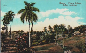 Postal vintage paisaje cubano Cuba Habana, La Habana C177 - Imagen 1 de 2