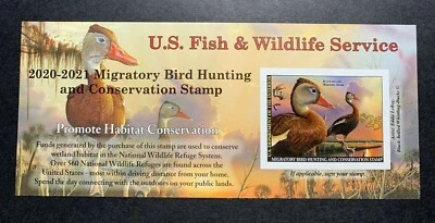 WTDstamps - #RW87A 2020 - 2021 - US Federal Duck Stamp - Post Office FRESH - Image 1 of 2