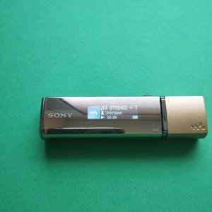 Sony Walkman NW-E013 oro e marrone (1 GB) lettore multimediale digitale usato - Foto 1 di 7