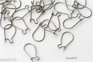 Ohrhaken Edelstahl mit Verschluss Brisur Brisuren Haken Schmuck DIY 20 Stk. NEU - Bild 1 von 1
