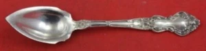 Meadow Rose by Wallace Sterling Silver Grapefruit Spoon Wide Shoulders 5 7/8" - Picture 1 of 2