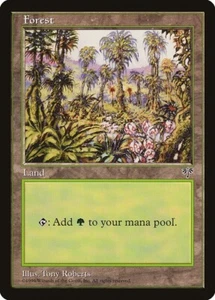 Lot of 20x Forest #347 - MIR Mirage Basic Land MTG Magic PL - Picture 1 of 1
