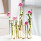 nother Bigsee Test Tube Vase for Flowers, Glass Vase with Metal Stand Racks H...